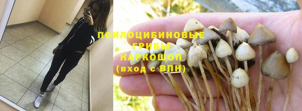 ешки Абинск