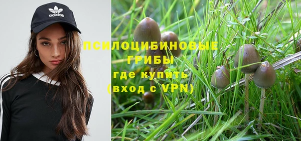 шишки Зерноград